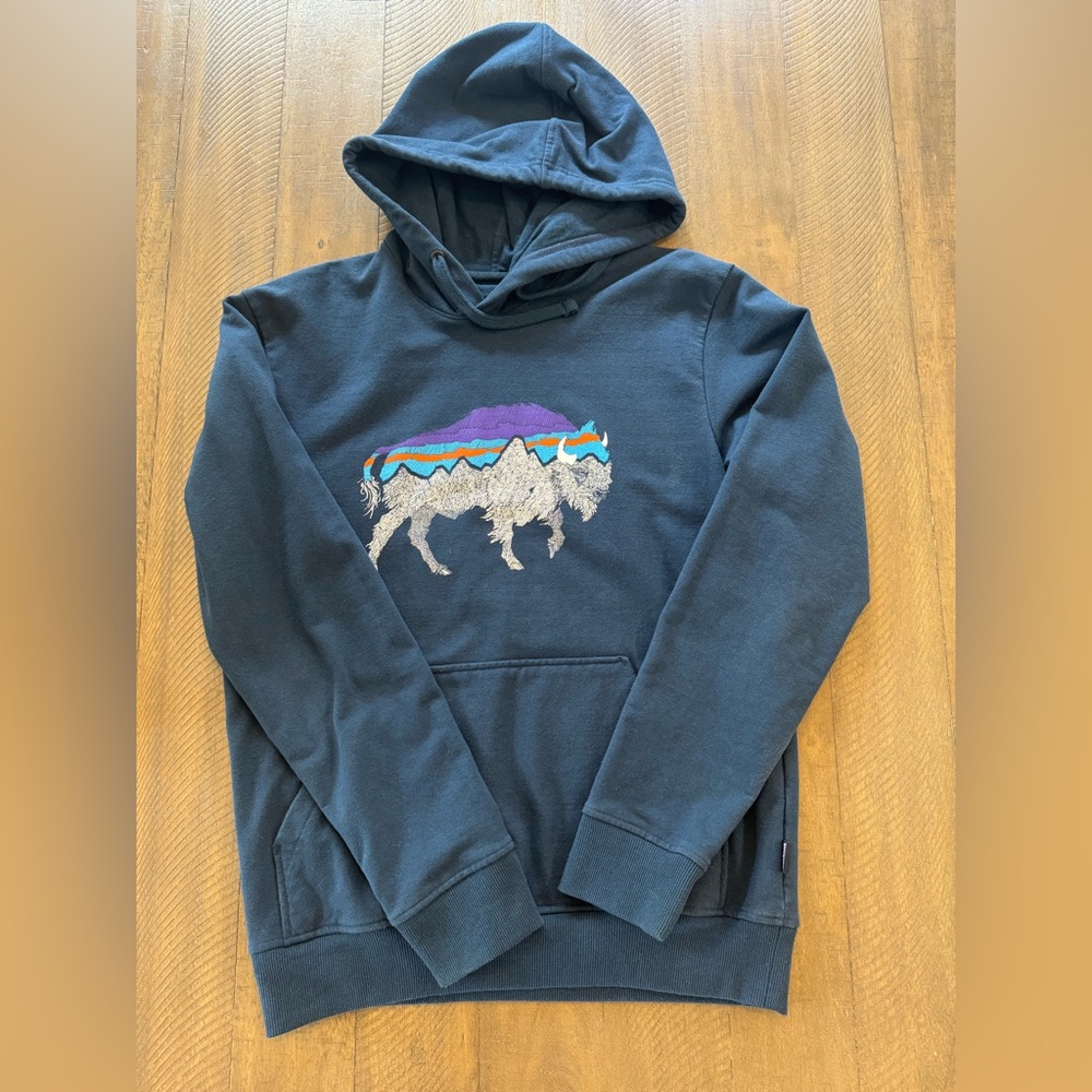 Patagonia men’s fitz Roy bison uprisal hoodie